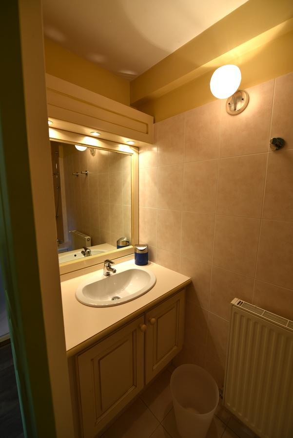 Les Lodges Du Lac Saint-Alban-de-Montbel Habitación foto